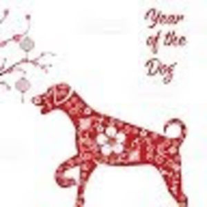 Meet your Posher, Charlotte